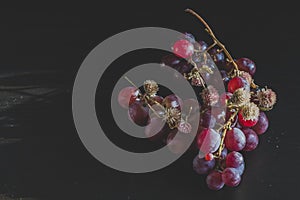 Red grapes, large bunch of fruits, fresh and tasty simple food with bright colors on a black background. flowers and fruit for an