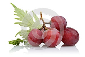 Red grapes with leaf on white background