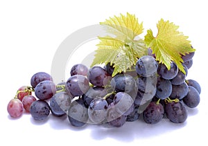 Red grapes with leaveas photo
