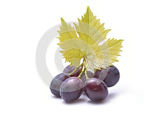 Red grapes with leaves isolated on white