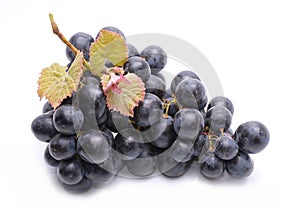 Red grapes with leaves isolated on white background