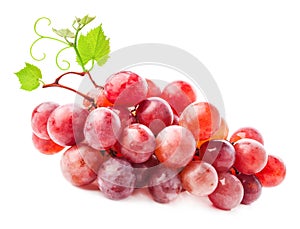 Red Grapes with leaves photo