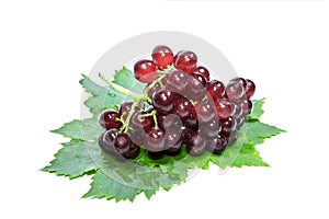Red grapes and leaves with water drops,isolated on white background