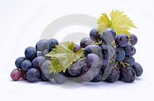 Red grapes with leaves photo