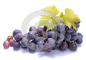 Red grapes with leaves on white background