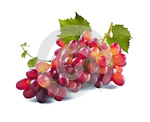 Red grapes long bunch and leaves isolated on white background