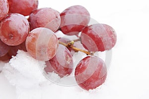 Red Grapes In Snow