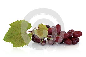 Red Grapes on the Vine