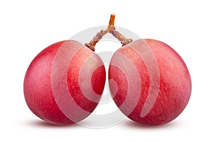 Red grapes on white background, Bunch with two grape berries isolated closeup