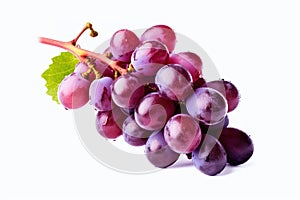 red grapes on a white background with a stem, in the style of dark purple