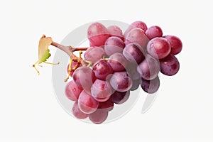 red grapes on a white background with a stem, in the style of dark purple