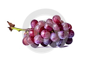 red grapes on a white background with a stem, in the style of dark purple