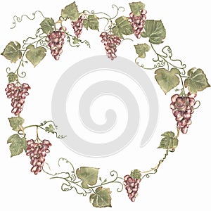 Red grapes wreath clipart, harvest clip art. Watercolor hand painted grapes frame. Italian vinery concept design. French wine