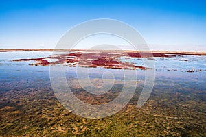 Red grassland in Qinghai wetland