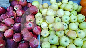 Red and green apples background. Fresh fruits on supermarket shelves. Retail industry. Farmers market. Discount. Grocery shopping