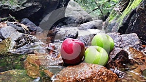 Red green apples in natural waterfall