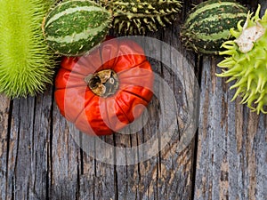 Red and green autumn fruits