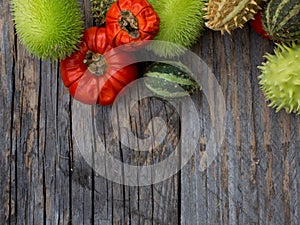 Red  and green autumn fruits decoration