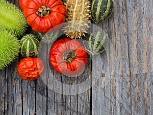 Red  and green autumn fruits decoration