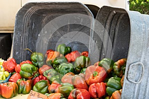 Red and green bell peppers spilling out of two galvanized metal washtubs