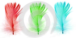 Red green blue feathers isolated