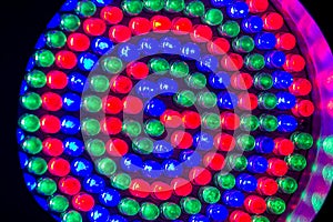 Red,green and blue leds photo