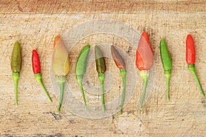 Red green and brown Chili