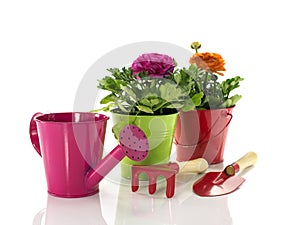 Red and green bucket with spring flowers
