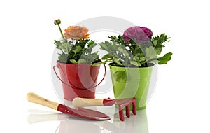red and green bucket with spring flowers