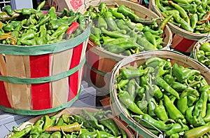 Red and Green Chili in bushel baskets for sale