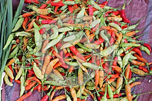 Red and green chili pepper sold in a food street market