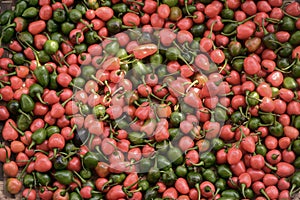 Red and green chillies : Dalle