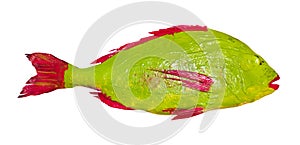 Red and green colored Orata fish cut out on white