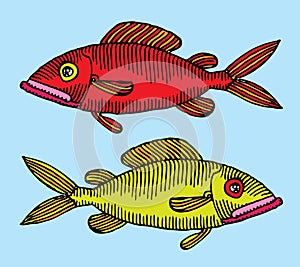 Red and green fish hand drawing