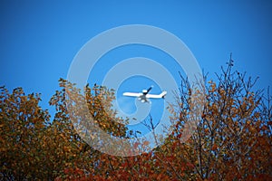 Red and green forests, airplane