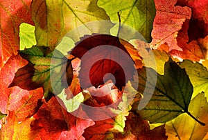 Red, green and gold autumn (fall) leaves background texture.