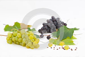 Red and green grapes with leaves on white background