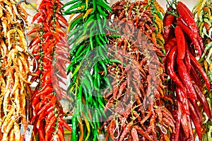 Red and green hot chilly peppers