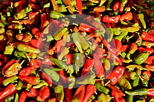 Red and Green Hot Peppers