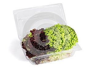Red and Green Lettuse in Plastic Container photo