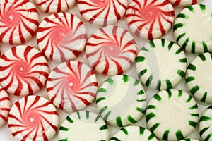 Red and green mints