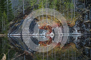 Red and green moss on the rocky shore of a forest lake. Trees reflecting in the calm waters of the lake.