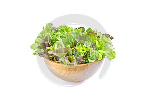 Red and Green oak lettuce In a wooden bowl on a white background