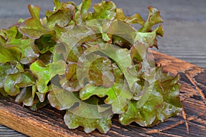 Red and Green Oakleaf lettuce Vegetable salad on cutting board. Summer healthy food. Salad leaf
