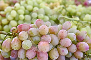 Red and green organic grapes closeup