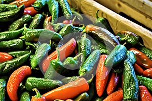 Red and Green Peppers at a Farmers Market