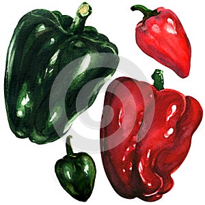 Red and green peppers on white background