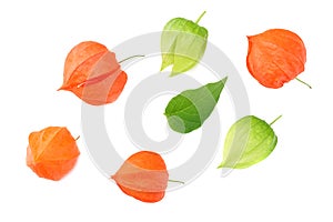 red and green physalis fruit isolated on white background. top view