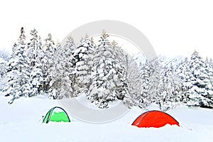 Red and green tents, natural snow hill in Japan Yatsugatake mountains