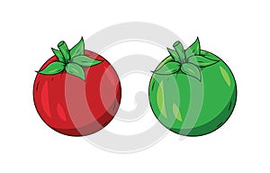 Red and green tomato vector